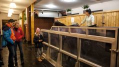 Majitelka koňských lázní Adéla Lišková (vlevo) u běžeckého pásu