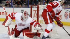 V dresu Detroitu Red Wings získal Jiří Fischer Stanley Cup. Nyní pracuje v managementu klubu