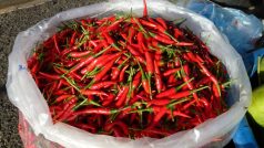 Chilli papričky (ilustrační foto)