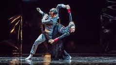 Baletní inscenaci Labutí jezero hraje Jihočeské divadlo v DK Metropol v Českých Budějovicích.