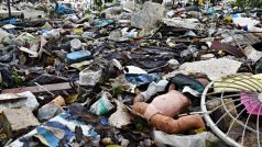 Tímto nánosem vegetace v mangrovovém porostu, který by pomáhal čistit vodu v zálivu Guanabara, neproroste