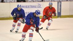 Hokejová reprezentace, hokej, trénink, Vladimír Sobotka