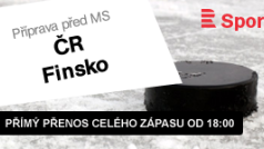 Příprava před MS: ČR - Finsko