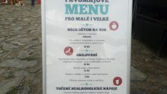 Piknik hnutí ANO nedaleko zoologické zahrady v pražské Troji