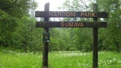 Národní park Šumava