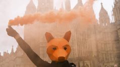 Na demonstraci před britským parlamentem přišli lidé s maskami lišek