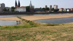 Sucho v řece Odře ve Frankfurtu nad Odrou