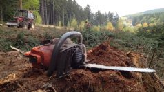 Kácení stromů nedaleko biatlonového areálu u Nového Města na Moravě. Na tomto místě bude v budoucnu obří zásobník sněhu