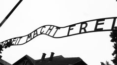 Vstup do Osvětimi: brána s nápisem Arbeit Macht Frei