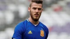 Brankář David de Gea dělá španělskému týmu na Euru starosti