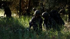 Anakonda 16. Cvičení NATO v Polsku