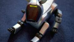 Robopes Aibo