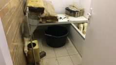 Inspekce našla jak vykrvácené, tak ještě živé kachny