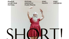 Festival krátkých filmů