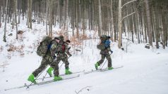 Winter Survival 2017