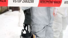 Ptačí chřipka v Bílencích