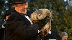 Slavný svišť Phil v americkém městečku Punxsutawney věštil počasí. Zima bude pokračovat