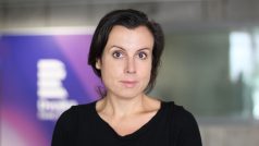 Beata Parkanová, režisérka