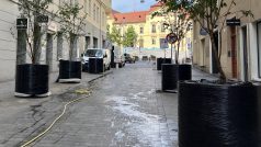 Obří květináče na ulici Zámečnická v centru Brna