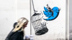 Street art od umělce, který si říká Rebel Bear, zobrazující přechod Twitteru pod Elona Muska. Nakolik je Muskovo vyobrazení trefné, můžeme spekulovat