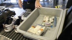 TSA, letiště, USA, letištní kontrola