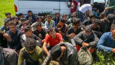Nelegální migranti