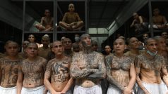Odsouzení v salvadorské megavěznici bývají často členové tamních gangů