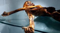 Ötzi, přírodní mumie stará přibližně 5300 let, nalezená v roce 1991 na italské straně hranic v Ötztalských Alpách, je dnes vystavena v muzeu v Bolzanu