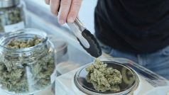 Marihuana, prodej marihuany, konopí, legalizace