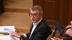 Andrej Babiš osobně proti těsné spolupráci s Američany nemá nic