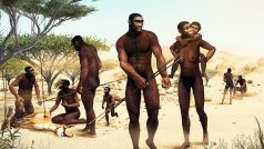 Homo erectus