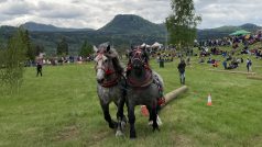 Za shození kolem rozestavěných kuželů hrozí časová penalizace