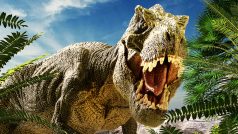 Z předešlých výzkumů vyplývá, že doba od snesení vejce po vylíhnutí u dinosaurů mohla trvat od tří měsíců do půl roku.