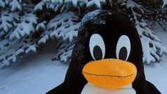 Tučňák Tux, maskot operačního systému Linux