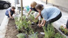 Street gardening v Praze