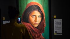 Zvětšenina fotky Sharbat Gulové v muzeu, kterou v roce 1984 vyfotil Steve McCurry