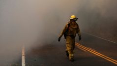 Lesní požáry v americké Kalifornii mají na svědomí už nejméně 31 obětí.