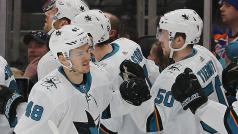 Tomáš Hertl slaví vítězný gól San Jose