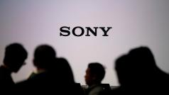 Sony. Ilustrační foto.