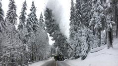 Lesníci kácí sněhem obalený strom u silnice poblíž německého města Altenberg