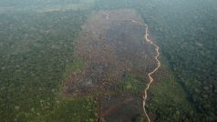 Za větší počet požárů může podle expertů nejen sucho či klimatické změny, ale i ilegální kácení a vypalování lesa za účelem získání zemědělské půdy