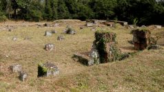 Bylo tedy možné získat představu o kompletní struktuře sídla, o všech budovách, jejich umístění, vedení ulic a hradeb, ale i o systému zásobování vodou. Mimo jiné odborníci na ploše 30 hektarů zaměřili někdejší budovu lázní, tržnici, několik chrámů a divadlo (na snímku jsou zbytky města Falerii Novi)