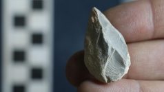 Lidé osídlili Ameriku už před 33 000 lety. To je o víc než 15 000 let dřív, než archeologové původně předpokládali. Dokazují to nové nálezy