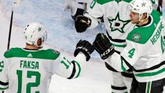 Radek Faksa oslavuje se svými spoluhráči z Dallasu