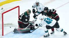 Tomáš Hertl střílí gól Arizoně