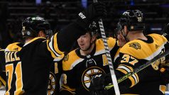 Hokejisté Bostonu Bruins slaví gól Davida Pastrňáka