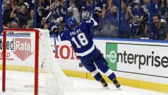 Ondřej Palát slaví gól proti Torontu