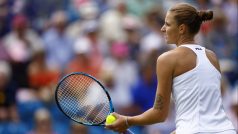 Karolína Plíšková při utkání druhého kola turnaje v Eastbourne