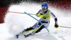 Martina Dubovská.