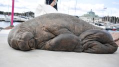 Podle sochařky má socha připomínat, že úřední rozhodnutí někdy můžou odporovat zdravému rozumu